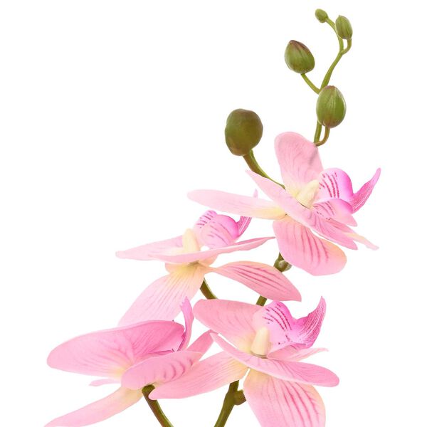 Showing Product Image 4 of 5