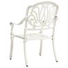 vidaXL Garden Chairs 2 pcs Cast Aluminium White