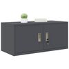 vidaXL Storage Cabinet with Storage Anthracite 90 x 40 x 40 cm Steel