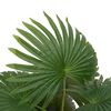 Product Thumbnail Image 2 of 5