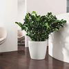 LECHUZA Planter Classico Color 28 ALL-IN-ONE White High Gloss 13190