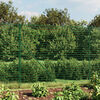 Product Thumbnail Image 2 of 6