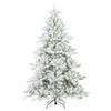 Product Thumbnail Image 3 of 13