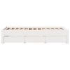 Product Thumbnail Image 5 of 13