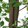 Product Thumbnail Image 4 of 5
