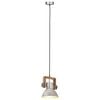 vidaXL Industrial Hanging Lamp 25 W Silver Round 19 cm E27
