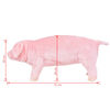 Product Thumbnail Image 5 of 5