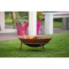 Product Thumbnail Image 3 of 6