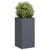 Product Thumbnail Image 2 of 9