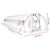 vidaXL Greenhouse with Steel Frame White 36 m² 12x3x2 m