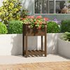 vidaXL Planter with Shelf Honey Brown 54x34.5x81 cm Solid Wood Pine