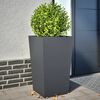 Product Thumbnail Image 2 of 12