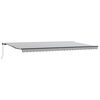 vidaXL Manual Retractable Awning Anthracite and White 600x300 cm