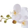 Product Thumbnail Image 2 of 2