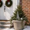 Product Thumbnail Image 3 of 7
