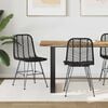 vidaXL Dining Chair 2 pcs Black 44.5 x 55 x 85 cm Rattan and Iron