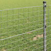 vidaXL Euro Fence Silver 1.2 x 10 m Hot dip galvanized iron