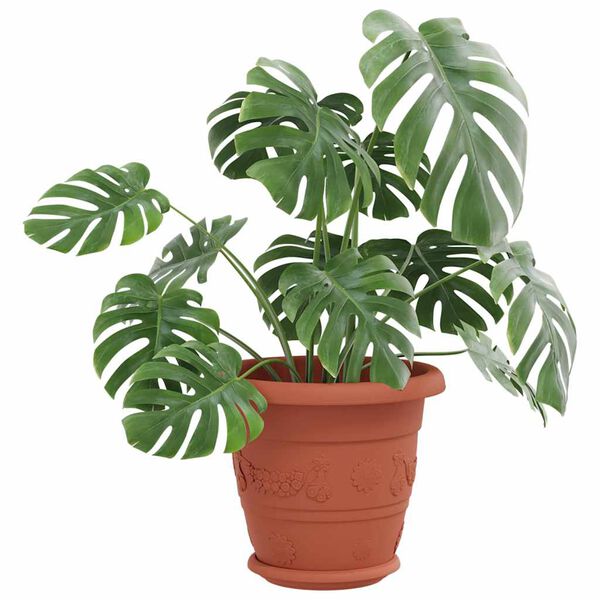 Showing Product Image 3 of 10