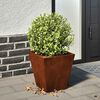 Product Thumbnail Image 2 of 13
