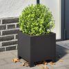 Product Thumbnail Image 2 of 9