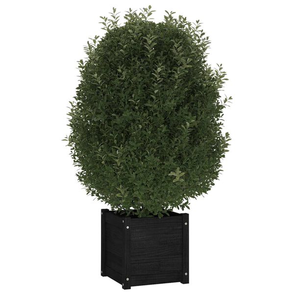 vidaXL Garden Planters 2 pcs Black 40x40x40 cm Solid Pinewood