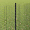 Product Thumbnail Image 4 of 14