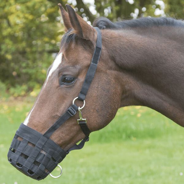 Covalliero Horse Muzzle Shetty Black
