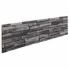 vidaXL Wall Panels 10 pcs Anthracite 100 x 25 cm EPS Foam