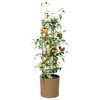 Product Thumbnail Image 3 of 6
