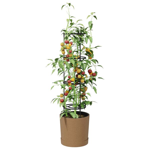 Showing Product Image 3 of 6