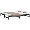vidaXL Pull-out Day Bed without Mattress Black 2x(90x200) cm