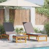 vidaXL Sun Lounger 2 pcs Brown 53 x 202 x 89cm Solid Acacia wood