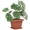 Product Thumbnail Image 3 of 12