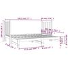 vidaXL Pull-out Day Bed without Mattress Grey 2x(90x190) cm