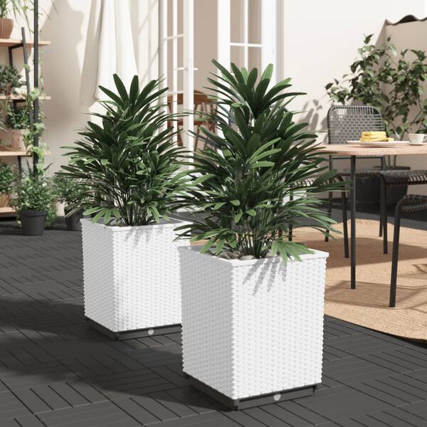 Showing Product Image 2 of 8