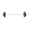 vidaXL Barbell and Dumbbell Plates 60 kg