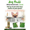 Dog Rocks Anti-Urine Stains Rocks for Dogs