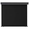 vidaXL Balcony Side Awning 125x250 cm Black