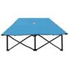 vidaXL Two Person Folding Sun Lounger Blue Steel