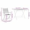 Product Thumbnail Image 13 of 13