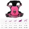 Product Thumbnail Image 14 of 14