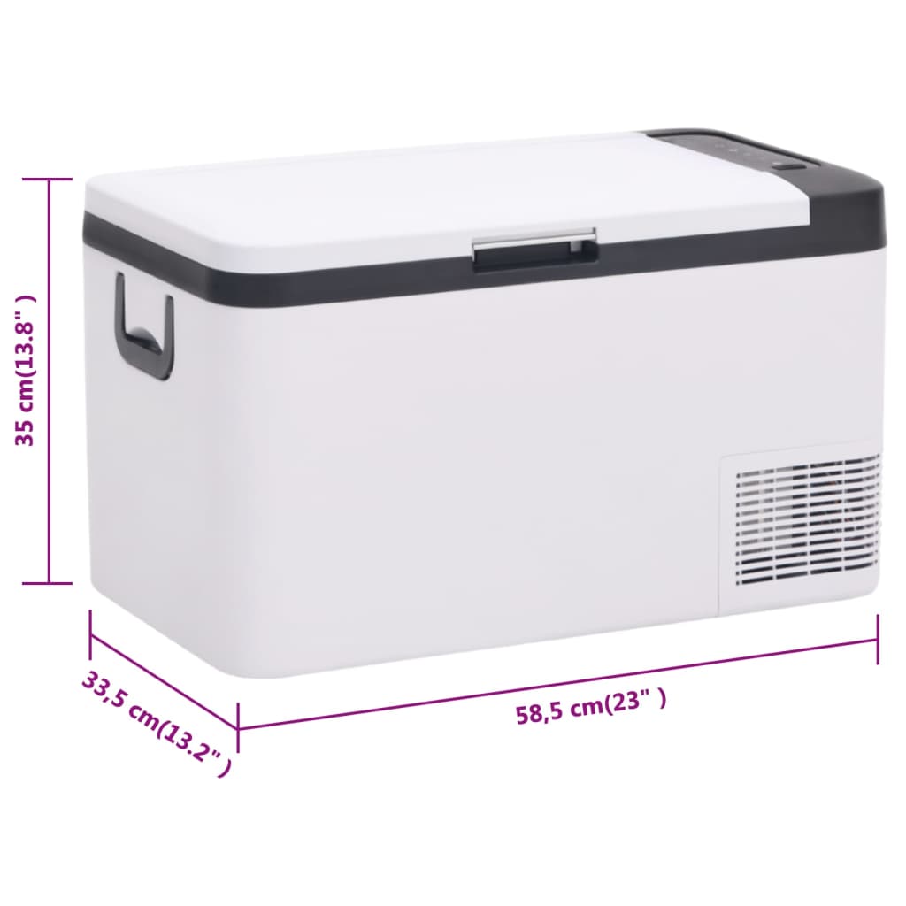 vidaXL Cool Box with Handle Black and White 25 L PP & PE