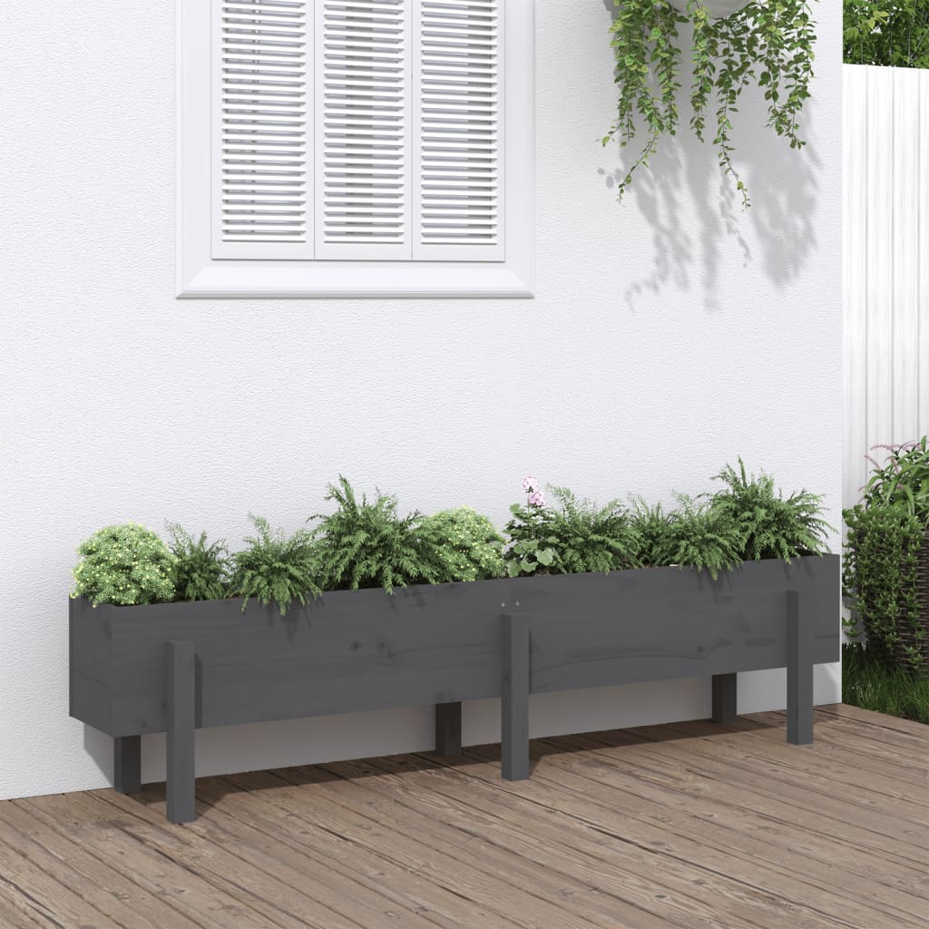 vidaXL Garden Raised Bed Grey 160x30x38 cm Solid Wood Pine