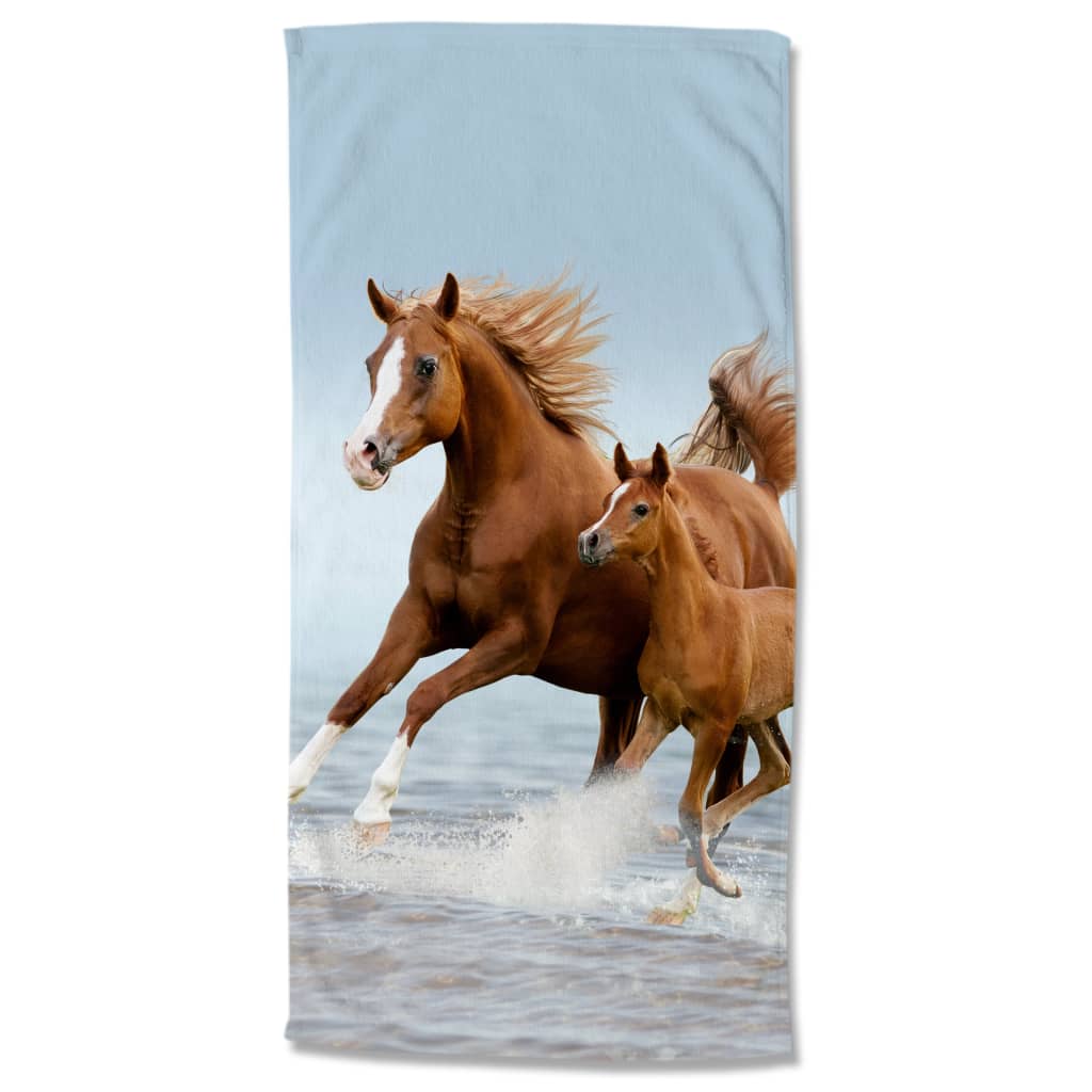 Good Morning Beach Towel FREE 75x150 cm Brown and Blue