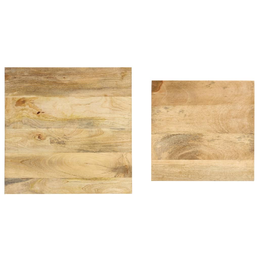 vidaXL Side Tables 2 pcs Solid Mango Wood and Steel