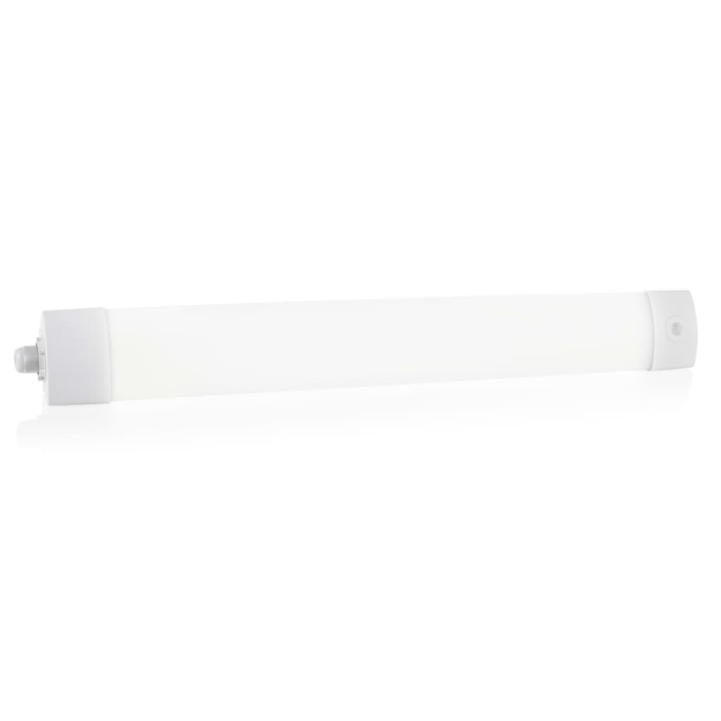 Smartwares LED Luminaire With Motion Sensor 60x50x7.5 cm White