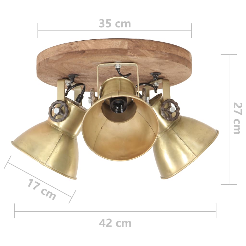 vidaXL Industrial Ceiling Lamp 25 W Brass 42x27cm E27