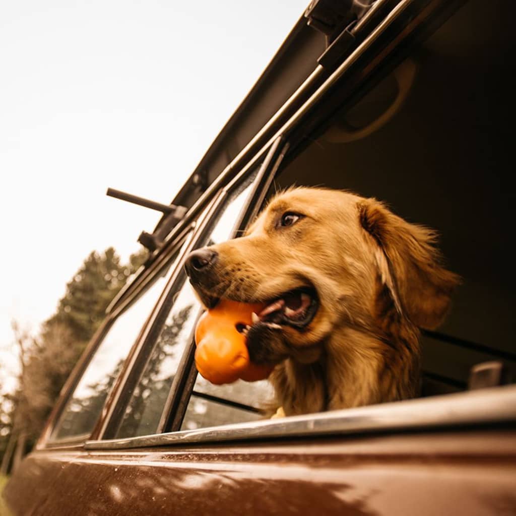 West Paw Dog Toy with Zogoflex Tux Tangerine Orange L