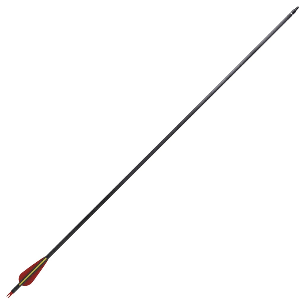 Standard Recurve Bow Arrows 30" 0.76 cm Carbon 12 pcs