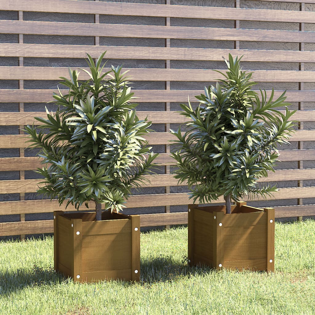 vidaXL Garden Planters 2 pcs Honey Brown 31x31x31 cm Solid Pinewood